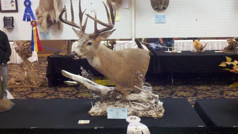 Dave Tonneson  Masters Division