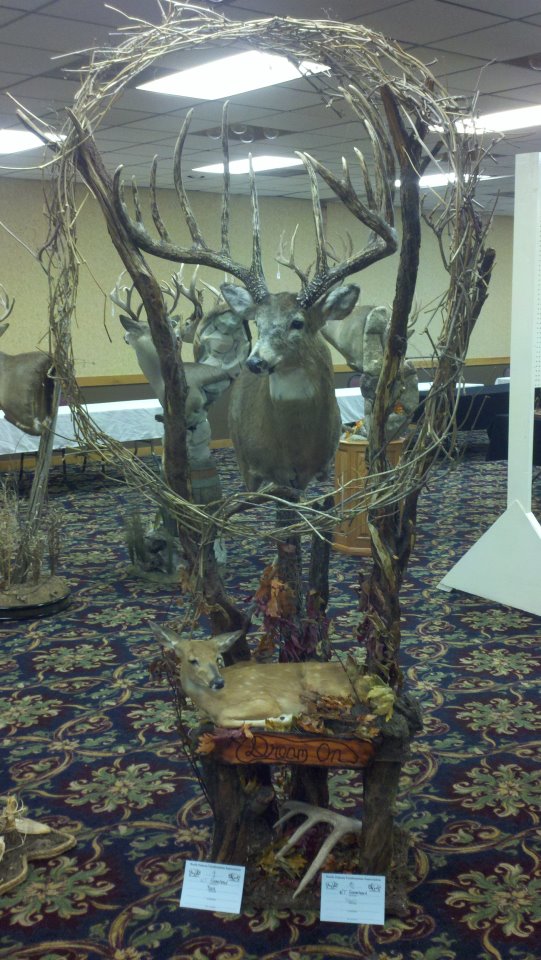 Dave’s Dreamer Bucks