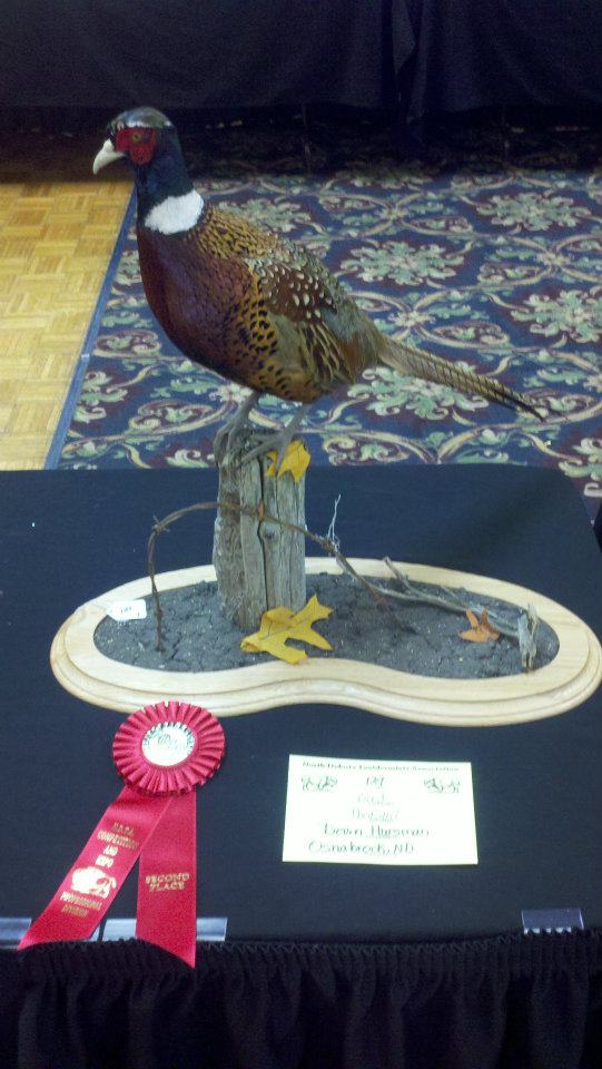 Devin~ND Professional Division