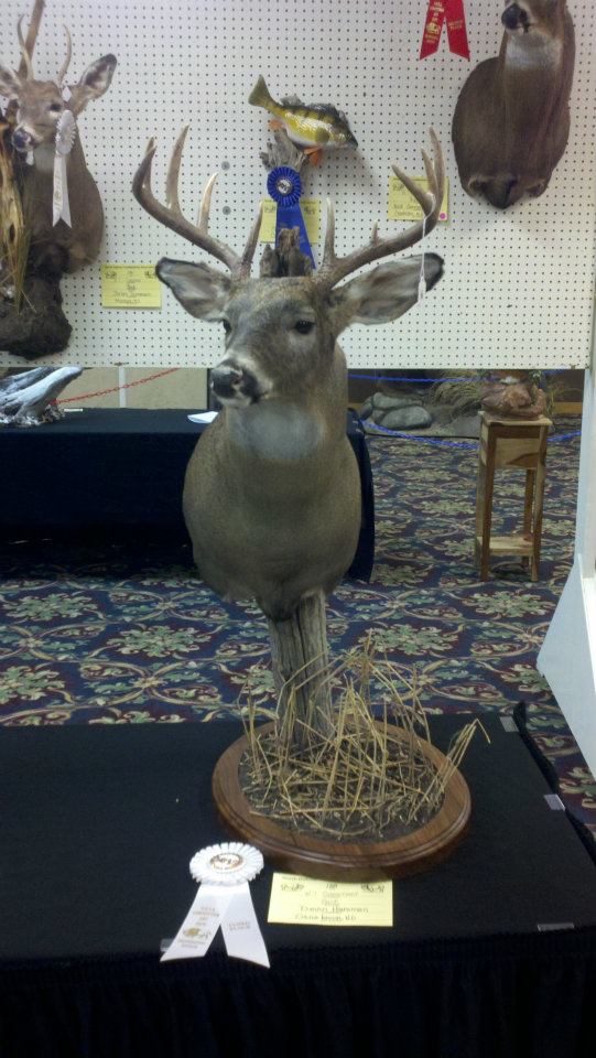 Devin~ND Professional Division