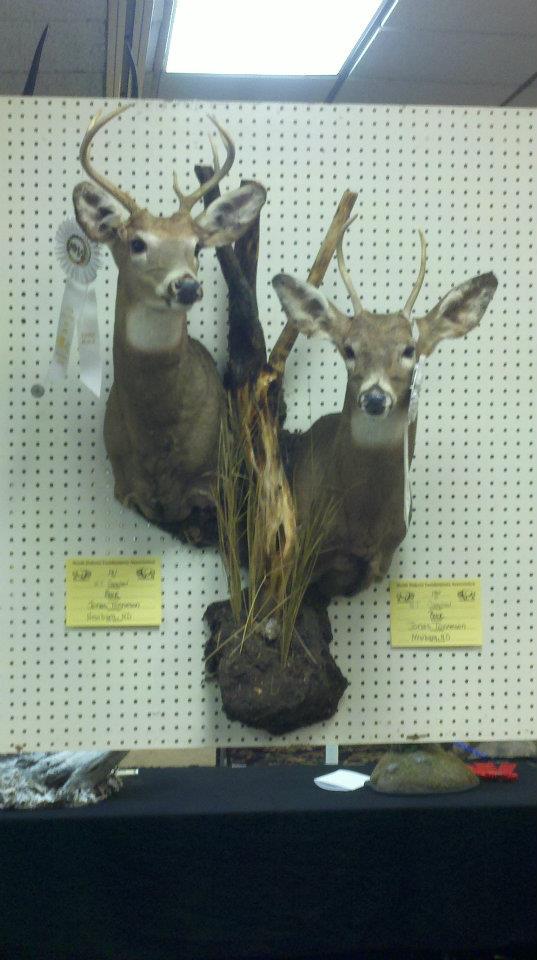 Jonas Tonneson   Professional Division