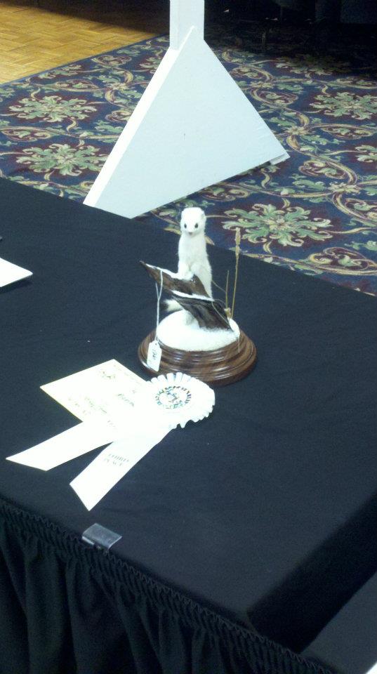 Lindsay~ND  Professional Division