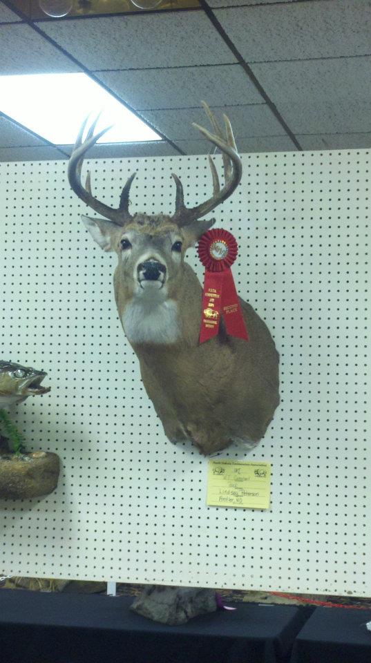 Lindsay~ND  Professional Division