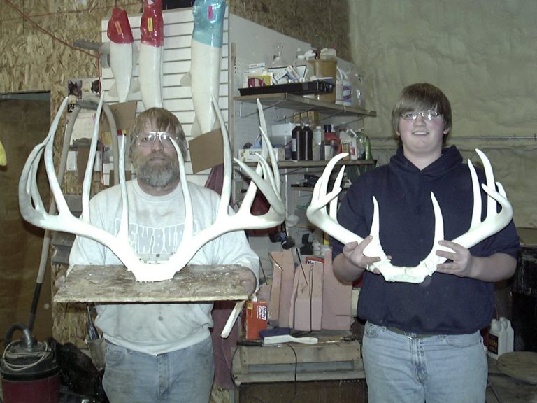 Reproduction Antlers